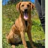 Maria (Nala) möchte endlich ankommen