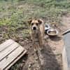 Levi sucht ein liebevolles Zuhause