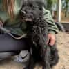 Gombi Liebevoller Senior sucht sein Happy-End!