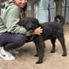 Gombi Liebevoller Senior sucht sein Happy-End!