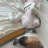 Ava sucht ein liebevolles Zuhause