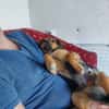 Freundliche Liddy sucht ihr Endzuhause