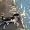 Kali liebt euch alle