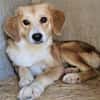 Lucy mit kleinem Handicap sucht