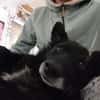 ❤ Manni auf der Suche nach seinem Für-immer-Zuhause 🐾
