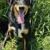 Käpten Balou sucht seine Crew