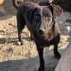 Sally, wann kannst du aufbrechen