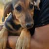 Amelie sucht mit Eifer ihr zu Hause