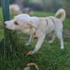 Malin sucht ihre Familie