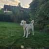 Malin sucht ihre Familie