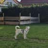 Malin sucht ihre Familie