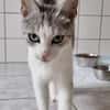 Hallo, ich bin die Amelie!