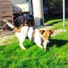 Theo sucht seine Herzensmenschen!