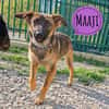 Maaji ein wundervolles Wesen