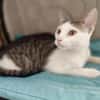 Rosie & Freddie Traumpärchen suchen Traumzuhause