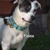 FIONA