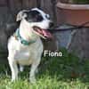 FIONA