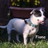 FIONA