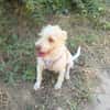 Gero sucht ein Zuhause