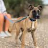 ZIGGY (Maria)