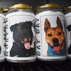 canette biere chien refuge