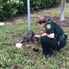 Police officer helps dog tied to post