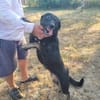 KELAINO -  Familienanschluss gesucht