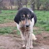 ANIMA - Alterswohnsitz gesucht