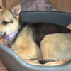 Lina sucht liebe Menschen