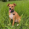 Timo aus 47799 Krefeld sucht sein Glück!