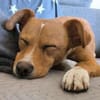 Timo aus 47799 Krefeld sucht sein Glück!