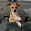 Timo aus 47799 Krefeld sucht sein Glück!