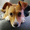 Timo aus 47799 Krefeld sucht sein Glück!