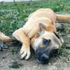 Heidi sucht ein Plätzchen