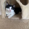 Tom