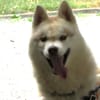 TSUKY