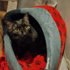 UXIE