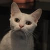 SAMY