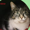 Athéna
