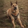 ARKO