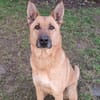 ARKO