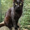 BLACKY