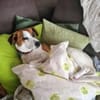 CYNTHIA: Lieb und sehr menschenbezogen