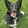 Quatschkopf sucht Sportpartner