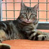 MINETTE