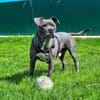 ROSCO