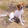 Ariel 🥰 eine freundliche Maus