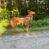 Lina möchte das Leben entdecken