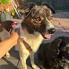 BUDDY * ein ganzer Kerl