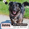 SUNNY: Kuschelmaus mit Köpfchen